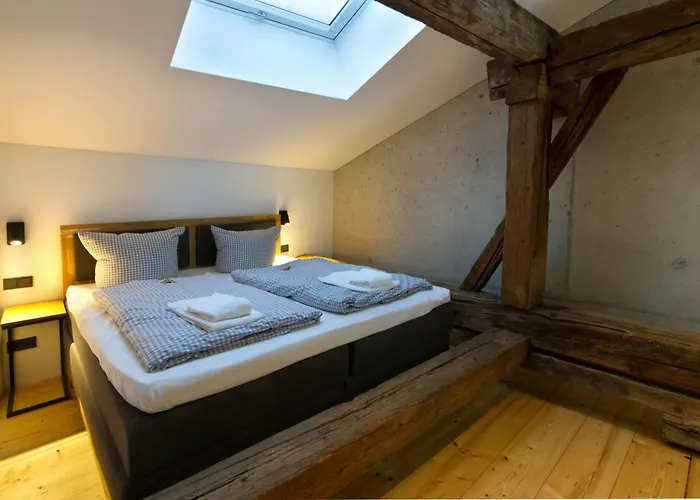 Adlerhaus, Loft Gerberkreuz -410- Apartmán
